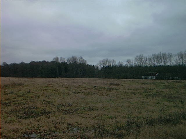 Image - festcamp.JPG