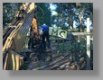 -Click image for full size view-